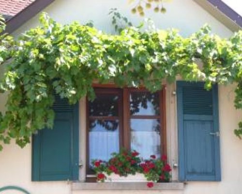 Ettlingen Ettlingenweier Gästezimmer im Grünen