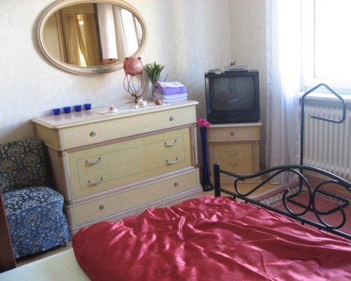 Appartement in Dietzenbach: Schlafzimmer mit Ferns