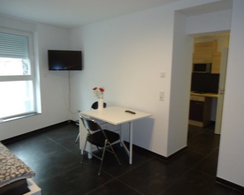 Mainz Weisenau moderne 1 Zimmer Wohnung 0a9c72