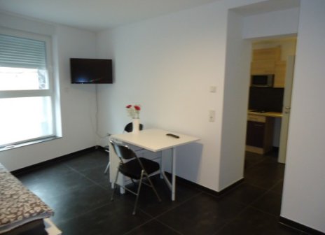 Mainz Weisenau moderne 1 Zimmer Wohnung 0a9c72