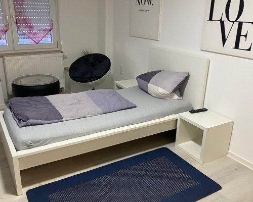 PHOTO-2026-01-19-12-20-43 4