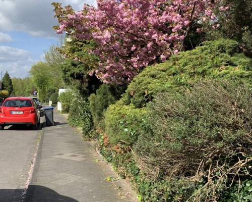 vor dem Haus in Lörick