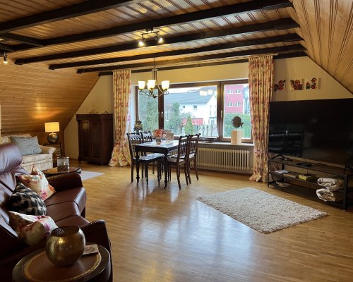 Karlsruhe Daxlanden  Ferienwohnung Wohnzimmer mit Schlafcouch, großer Fernseher