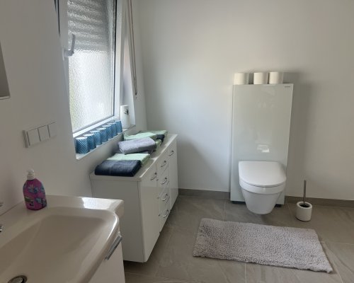 Modernes, gepflegtes Badezimmer mit Dusche